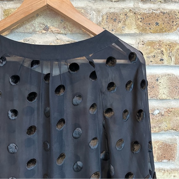 J. Crew Sheer Black Top w/ Velvet Polka Dots & Ruched Sleeves - Picture 8 of 8
